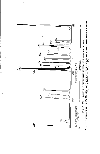 Рис. 5. ГХ-разделение к-<a href="/info/53264">пропиловых эфиров</a> 17 ацетиламинокислот.