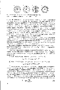 Рис. 1.3. <a href="/info/1091959">Линии тока жидкости</a> в скребковом полимеризаторе 
