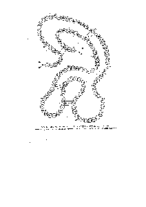 Рис. 1. Двумерная модель по Филлипсу [11] молекулы лизоцима двойные кружки — аминокислотные остатки, выстилающие сорбционный участок глобулы