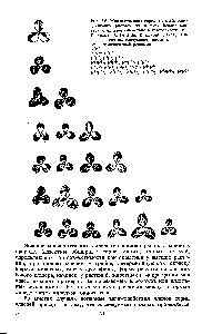 Рис. 2.6. Множественная серия аллелей, определяющих рисунок на <a href="/info/1287581">листьях белого</a> клевера и их взаимодействие в гетерозиготе (по D. Suzuki, А. Griffiths, R. Levontin, 1981). Показаны следующие генотипы 