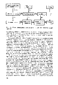 Рис. 14.1. <a href="/info/1916528">Схема превращения углеводородов</a> в <a href="/info/25916">условиях процесса</a> гидрокрекинга