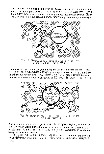 Рис. 94. Макромолекулы полиэфирного волокна дакрон и молекула красителя