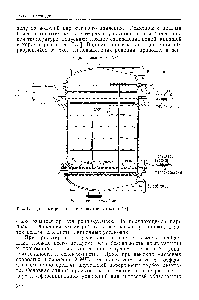 Рис. 1. <a href="/info/24304">Трубчатый реактор</a> для окисления этилена [77].