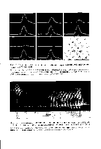 Рис. 4. <a href="/info/196328">Изотоническое сокращение</a> <a href="/info/1389899">икроножной мышцы</a> в ответ на саерхмак-симальное раздражение седалищного нерва или самой мышцы (по Evans, 1965)