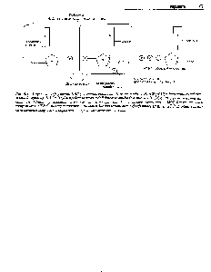 Рис. 4.17. Строение кофермента НАД(никотинамидадениндинуклеотида) и НАДФ (НАДс дополнительной фосфатной группой). НАД и НАДФ представляют собой динуклеотиды (см. рис. 4.16). Обратите внимание, что никотинамид (ниацин), входящий в состав одного из нуклеотидов, является витамином. АМФ близок по своей структуре к АТФ (в молекуле которого имеются две дополнительные фосфатные группы). АТФ служит в клетке носителем энергии. Он образуется в процессе клеточного дыхания.