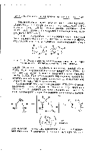 Рис. III.2. Два изоэлектронных <a href="/info/2915">переходных состояния</a> а —пиролиз винилэтилового эфира б — пиролиз этилформиата.