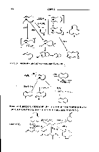 Рис. 53. Механизм циклоолигомеризации бутадиена.