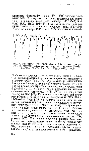 Рис. 4. Мякрофотограмма <a href="/info/501963">часта полосы</a> (ОЛ) в <a href="/info/3511">спектре молекулы</a> монофторида германия значками от.мечены ветви V —Сг 