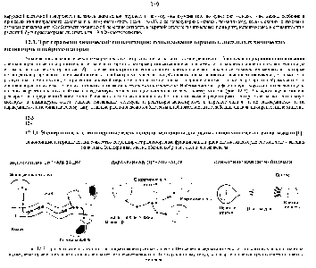 Рис. 12-2. Три формы сигнализации с помощью секретируемых молекул. Не все <a href="/info/1865985">нейромедиаторы действуют</a> в синапсах, как показано на рисунке некоторые из них работают как локальные химические медиаторы (по паракринному типу), влияя сразу на целую <a href="/info/74996">группу соседних</a> клеток-