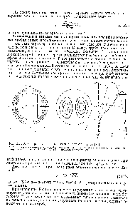 Рис. 2.41. <a href="/info/892060">Ламинарное течение жидкости</a> в изогнутой трубе [76].