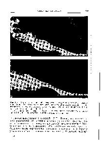 Рис. 5.8.5. <a href="/info/120469">Отрывные течения</a>, образующиеся в воздухе над нагретой горизонтальной поверхностью за ее передней кромкой. Для визуализации течения вводились нитевидные струйки дыма. (С разрешения авторов работы [131j. 1973, Pe.-gamon Journals Ltd.)