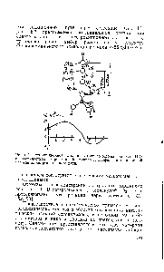 Рис. 5.7. Путь <a href="/info/74989">синхронной реакции</a> изотопного <a href="/info/1172672">обмена водорода</a> Н2О с <a href="/info/569569">поверхностной гидроксильной группой</a> и <a href="/info/1756399">профиль потенциальной энергии</a> вдоль реакционного пути.