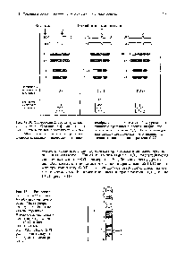 Рис. 18.10. Хромосомный состав трех <a href="/info/200121">клеточных линий</a>. Ожидаемая <a href="/info/6448">ферментативная активность</a> в линиях, изображенных в левом и среднем столбцах совпала со <a href="/info/1494427">средними экспериментальными значениями</a>. У линии.