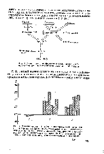 Рис. 4. <a href="/info/22027">Схема включения</a> фруктозы в <a href="/info/187896">обмен печени</a> в обход заблокированной при диабете глюкокиназной реакции