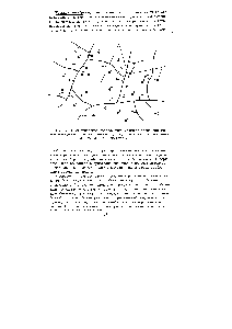 Рис. 6, Схематическое изображение матрицы <a href="/info/66667">катионообменной мембраны</a> 1 - ионогенные группы, 2 - ионообменные центры (узлы), 3 - противоионы