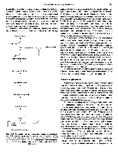 Рис. 33.9. Регуляция синтеза гема на стадии, катализируемой АЛК-синтазой, по <a href="/info/150188">механизму репрессии</a> и дерспрессии синтеза АЛК-синтазы с участием гема и его гипотетического <a href="/info/283134">апорепрессора</a>. Штриховая линия показывает отрицательную ( ) <a href="/info/1384505">регуляцию путем репрессии</a> синтеза АЛК-