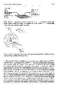 Рис. 1У-35. Принцип изучения поверхности. 1 — электроны, ионы, фотоны, <a href="/info/328062">нейтральные частицы</a>, <a href="/info/12353">электрическое поле</a>, тепло 2 — электроны, ионы, фотоны, нейтральные частицы.