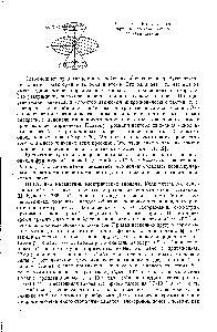 Рис. 20. <a href="/info/1884599">Классическая картина</a> пространственного квантования.