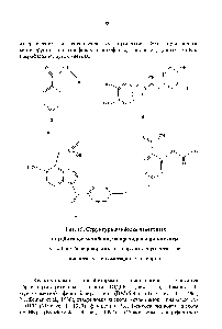 Рис. 15. Структура <a href="/info/1714756">наиболее известнь</a>1х ингибиторов метаболизма арахидоновой кислоты.