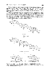Рис. 34.3. <a href="/info/161808">Определение концевых групп</a>. <a href="/info/972294">Гидролиз метилированной</a> целлюлозы.