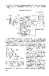 Рис. 61. <a href="/info/110174">Растворимость различных</a> модификаций ЗЮз в НР по Коэзу (1953) 1 — стекло ЗЮа 2-— тридимит 3 — кристобалит 4 — кварц 5—коэзит. 