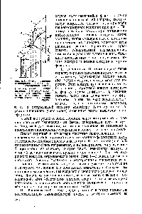 Рис. 6.3. <a href="/info/1818261">Схема горения ламинарного</a> потока га-г зовоздушной смеси.