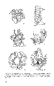 Рис. Н.9. Схематическое <a href="/info/1708643">представление трехмерных структур</a> термолизина (домен П) и цитохрома с (а,б <a href="/info/479226">структурная группа</a> а), трипсинового ингибитора соевых бобов и рибонуклеазы А (в,г группа 3), пируваткиназы (домен I) и аденилаткиназы (д,е группа а З) [253]