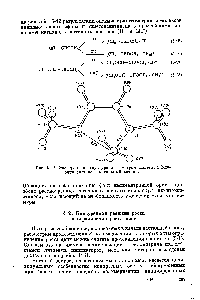 Рис. 5-12. <a href="/info/92995">Электронная структура</a> и <a href="/info/1744080">геометрия системы</a> 1,2-ди-метоксиэтилен—метильный катион.