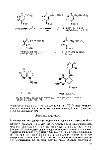 Рис. 15. Модифицированные нуклеозиды, встречающиеся в <a href="/info/166543">первом положении антикодона</a> тРНК