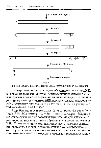 Рис. 8.2. Этапы клонирования кДНК <a href="/info/131600">методом двойных</a> линкеров