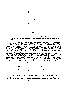 Рис. 7-58. Возможная эволюция механизмов окислительного фосфорилирования.