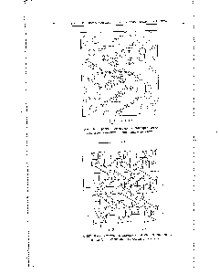 Рис. 166. Проекция Ьс структуры дигидрохлорида гексаметилендиамина и межионные расстояния.