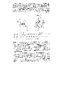 Рис. 1.14. С.чематическое <a href="/info/1672084">представление структуры полимера</a> на примере одной макромолекулы 