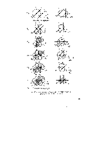 Рис. 42. <a href="/info/376711">Схематическое изображение</a> строения простых молекул элементов 2-го периода