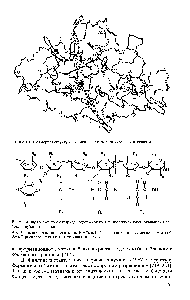 Рис. 1.3. <a href="/info/105557">Трехмерная структура фермент</a>-ингибиторного комплекса лизоцима