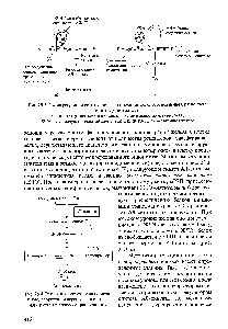 Рис. 25.4. Регуляция синтеза гема по <a href="/info/150188">механизму репрессии</a> и дерепрессии синтеза АЛ-синтазы в процессе транскрипции