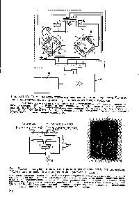 Рис. XII-15. Схема термокондуктометрического газоанализатора типа ТП-1120 для определения концентрации Hj в электролитическом водороде 