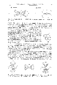 Рис. IV. 8. <a href="/info/1012491">Схематическое представление</a> <a href="/info/9233">эффектов магнитной</a> анизотропии <a href="/info/48478">двойной углерод-углеродной связи</a>, <a href="/info/7246">карбонильной группы</a> и нитрогруппы.