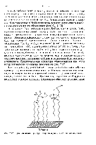 Рис. 7.17. Предполагаемая структура гетеролигандного сорбционного комплекса.