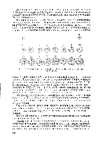 Рис. 20. <a href="/info/325342">Схемы строения</a> атомов элементов, имеющих заряд ядра