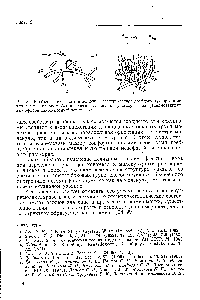 Рис. 33. К объяснению знака и <a href="/info/638131">величины электрического двойного</a> лучепреломления в молекулярном (а) и агрегированном (б) растворах полифенилметакрило-вых <a href="/info/357409">эфиров алкоксибензойных</a> кислот.