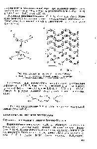 Рис. 8.28. <a href="/info/1446">Щавелевая кислота</a> (безводная) С2Н2О4 а—<a href="/info/68255">конфигурация молекулы</a> б —слой молекул в стр.уктуре а-формы (точками обозначены водородные связи)