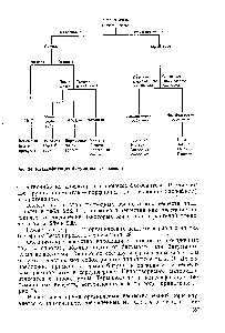 Рис. 34. Классификация битуминозных веществ