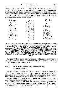 Рис. 27.1. <a href="/info/18430">Схема образования</a> изображения в оптическом, просвечивающем электронном и <a href="/info/129214">сканирующем электронном</a> микроскопах [О 66].