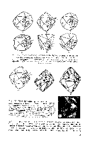 Рис. 36. <a href="/info/376711">Схематическое изображение</a> кривограиных <a href="/info/19845">кристаллов алмаза</a>, имеющих габитус известных плоскогранных форм 