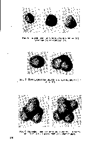 Рис. 6. Полусферические модели молекулы этана в заслоненной (а) и в заторможенной (б) конформациях.