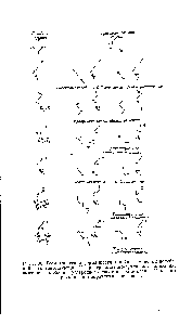Рис. 30. <a href="/info/861164">Геометрическая форма</a> шести линейно-групповых колебаний и соответствующих 12 пространственно-групповых колебаний, включая <a href="/info/1715757">колебания углеродного скелета</a> полиэтилена. Показаны. проекции в направлении оси цепи.