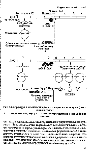 Рис. 3.2. Структура и <a href="/info/33088">механизм индукции</a> и репрессии 1ас-оперона (пояснения в тексте) 