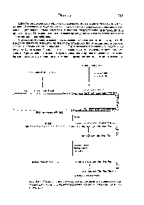 Рис. 2-38. <a href="/info/97577">Схема синтеза</a> соматостатина соединением полностью синтетического гена с /3-галактозидазным геном в плазмиде pBR 322 Е. oli 1666].
