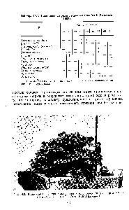 Таблица 14.1. Полиплоидные ряды у <a href="/info/1804468">злаковых трав</a> (из У. Вильямса,